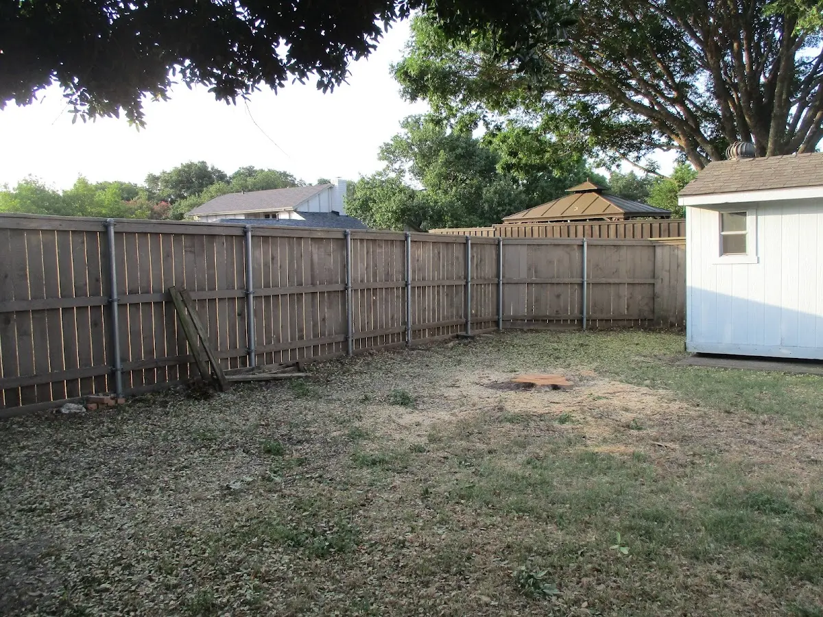 Cleared yard after professional tree removal in North Palm Beach