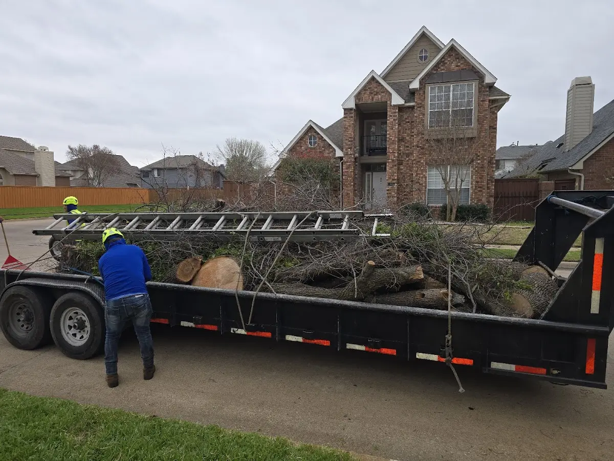 Expert Tree Fertilization with proper safety equipment in North Palm Beach